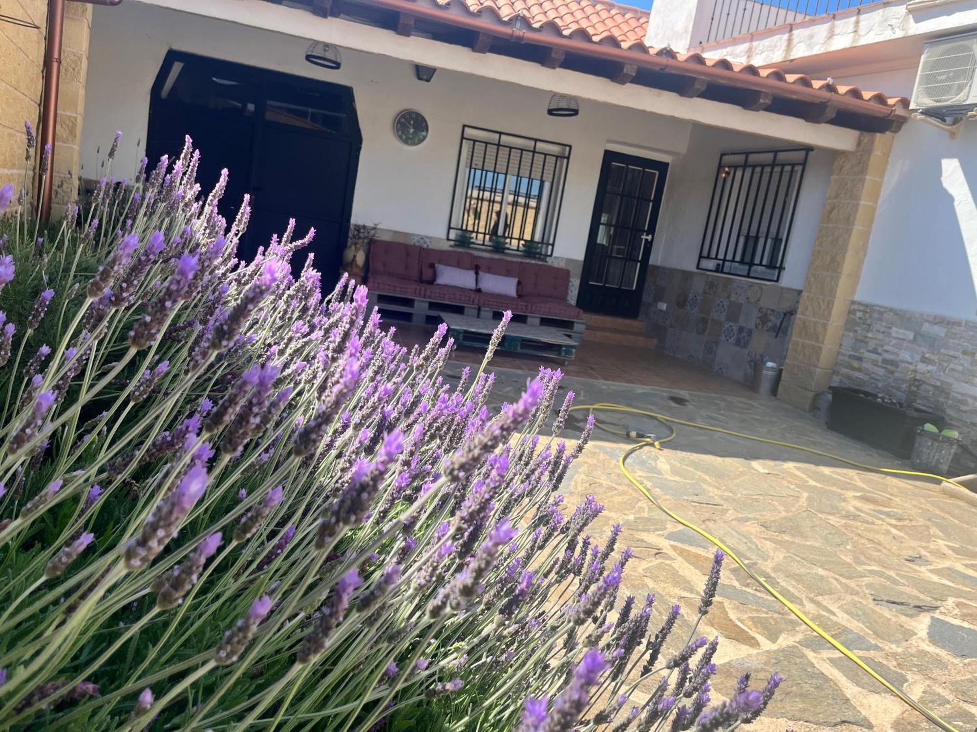 Casa Rural Valentina Almonacid de Toledo Exterior foto